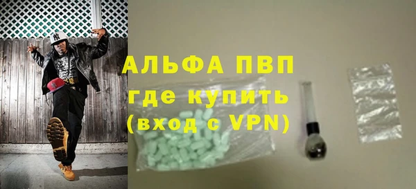 гашик Вязьма