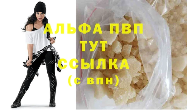 гашик Вязьма