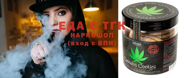 молекула духа Вяземский