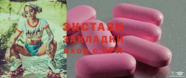 молекула духа Вяземский