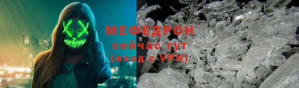 молекула духа Вяземский