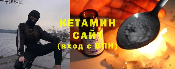 молекула духа Вяземский