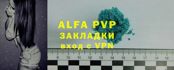 молекула духа Вяземский