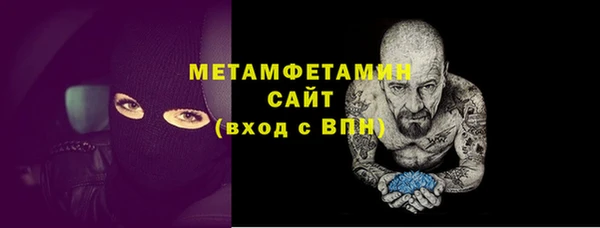 молекула духа Вяземский
