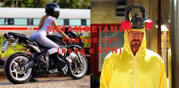 молекула духа Вяземский