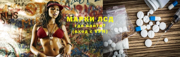 гашик Вязьма