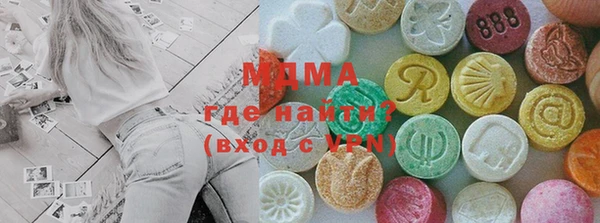 молекула духа Вяземский