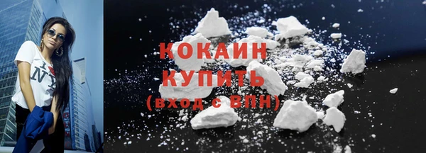 молекула духа Вяземский