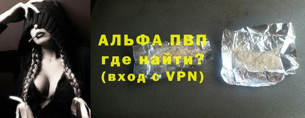 молекула духа Вяземский
