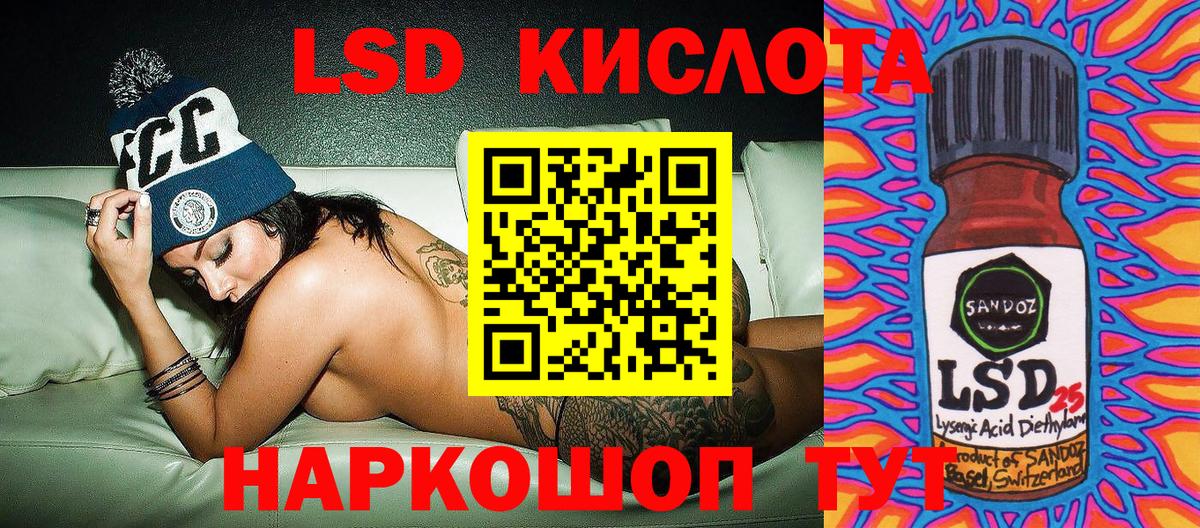 Псилоцибиновые грибы Геленджик