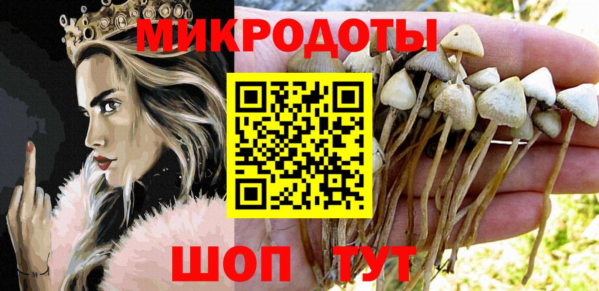 Геленджик  Псилоцибиновые грибы MAGIC MUSHROOMS  Вход с VPN 