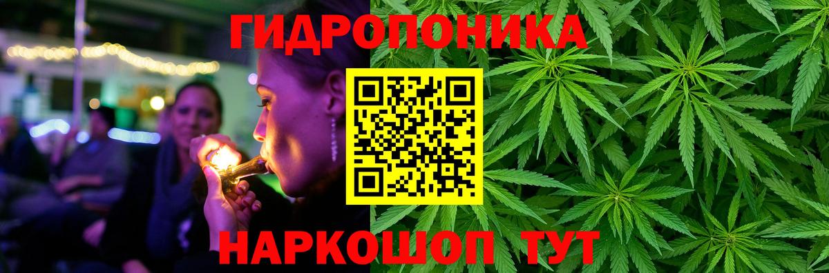 Канабис план  Геленджик  Канабис THC 21%  Конопля Ganja  Каннабис SATIVA & INDICA 